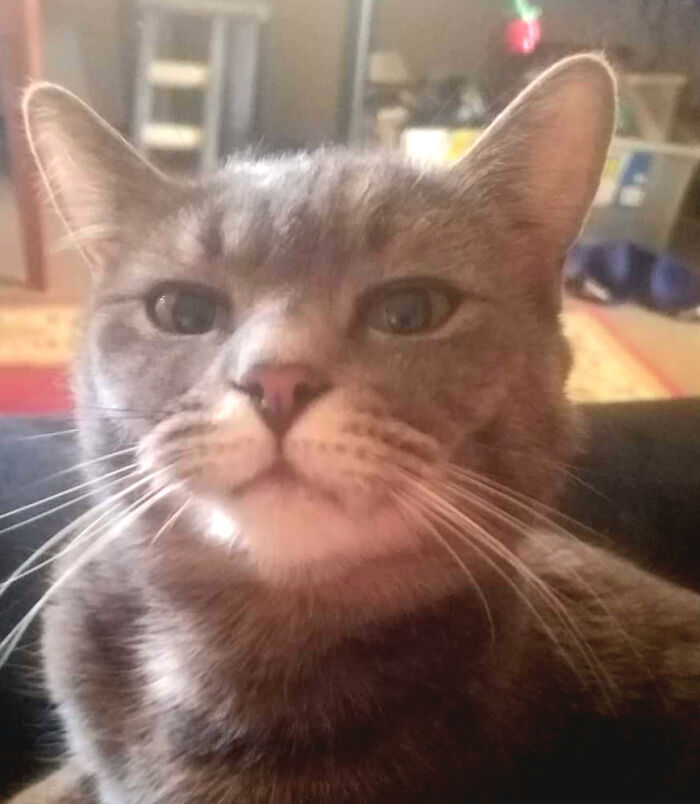 Sundae's Selfie Right Here