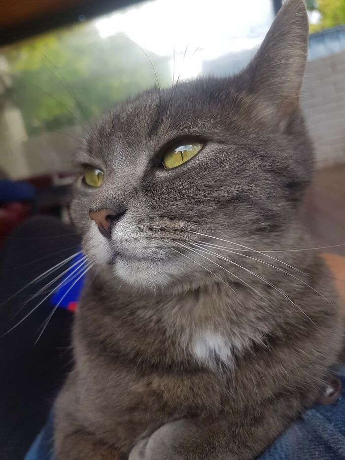 Sundae's Other Selfie