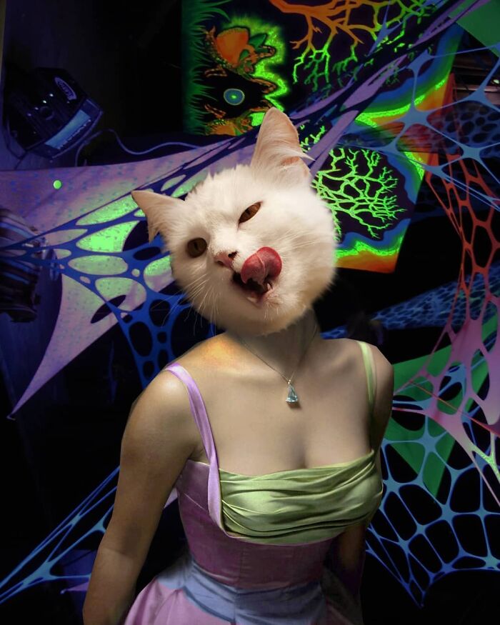 An Artist Creates Photo Collages With Cats And They're Weirdly Purrrfect (29 Pics)