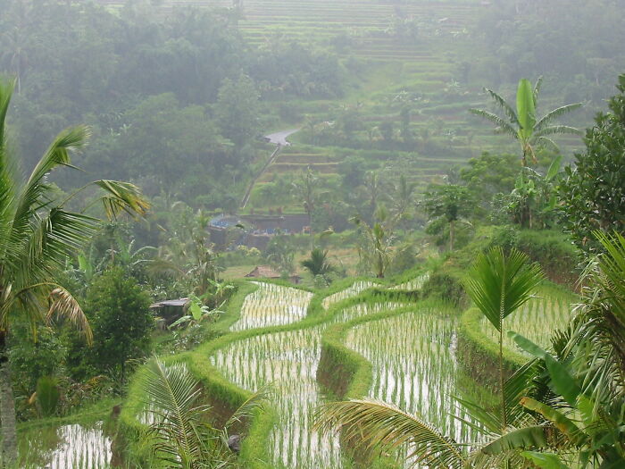 Bali