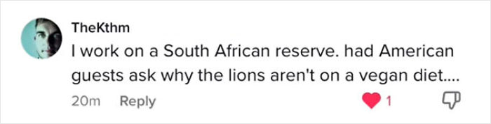 American-Tourists-Doing-Embarrassing-Things