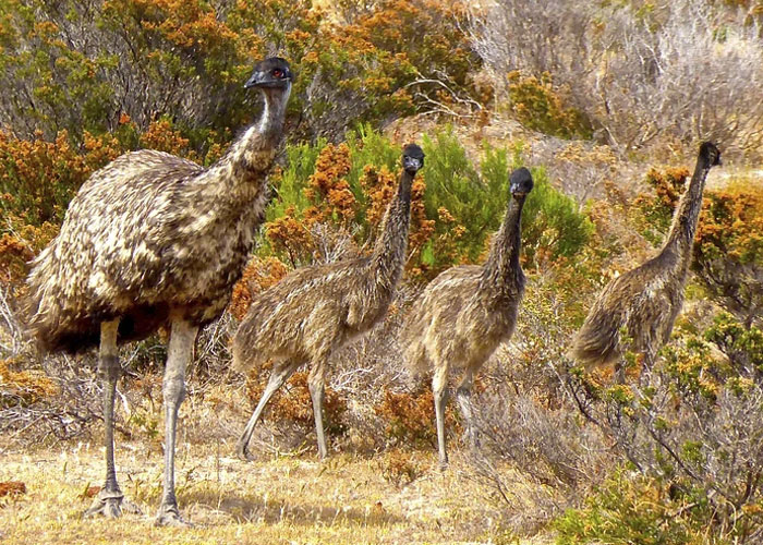 "What Are Some Events In Recorded History That Are Extremely Hard To Believe, But Without A Doubt Actually Happened?" (40 Pics)