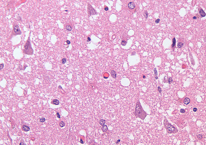 "Hoy aprendí": 30 Nuevos y fascinantes datos para compartir con tus amigos y familia