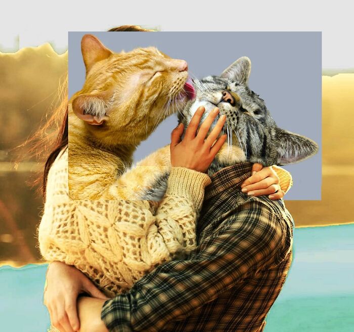 An Artist Creates Photo Collages With Cats And They're Weirdly Purrrfect (29 Pics)