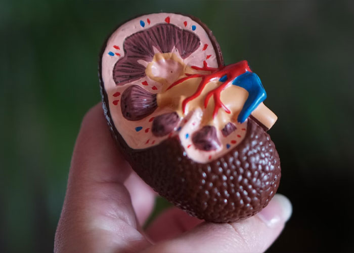 “Could Be Chipotle. Could Be Cancer”: 30 Medics Share Seemingly Harmless Signs That Shouldn’t Be Overlooked