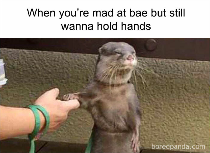 Wholesome-Romantic-Relationship-Memes