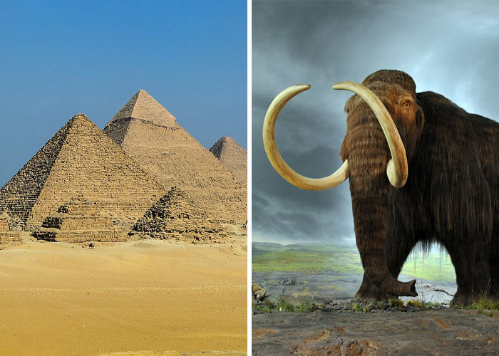 "What Are Some Events In Recorded History That Are Extremely Hard To Believe, But Without A Doubt Actually Happened?" (40 Pics)