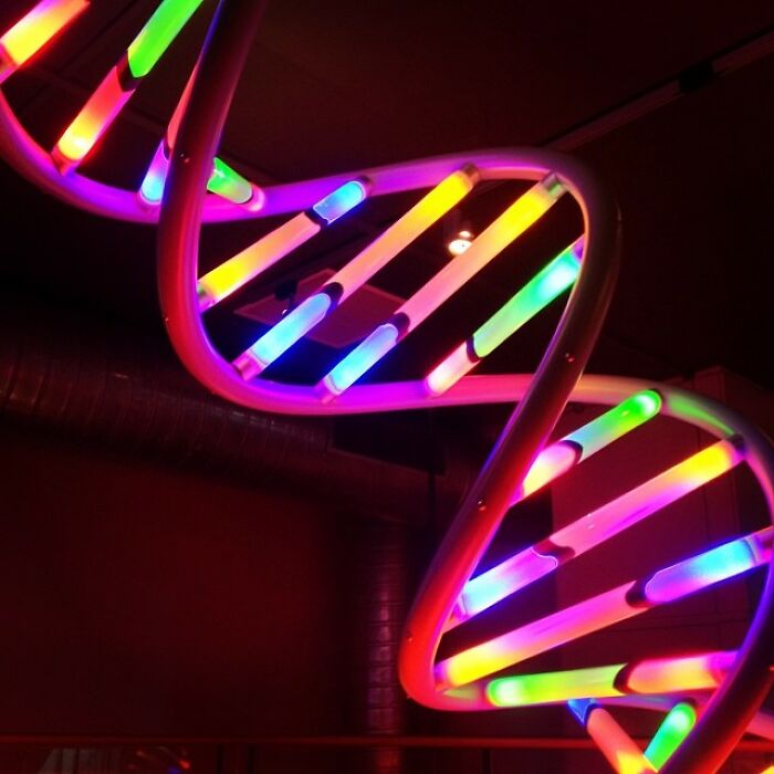 Person Online Asks Moms What Their Reactions Would Be If Their Husbands Wanted To Do A Paternity Test And Gets These 31 Answers