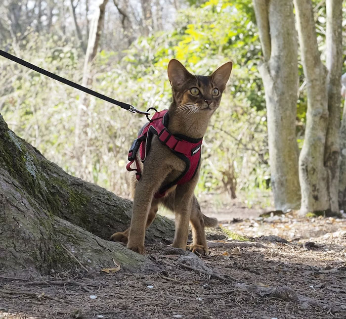 "By The Time You Start Seeing It, It's Already Happened": 31 People Reveal The First Signs Of Gentrification