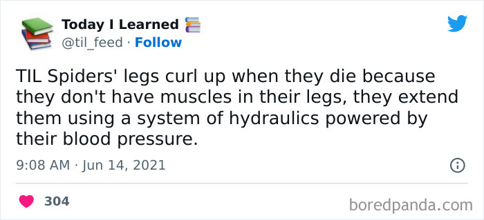 Today-I-Learned-Interesting-World-Facts