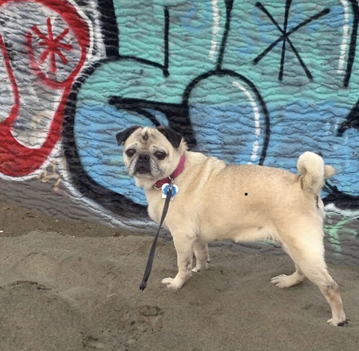 Baby; Adopted At Age 12, Lived To Be 20