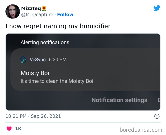 Things That Are Not Aesthetic