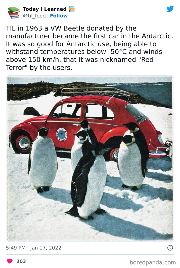 Today-I-Learned-Interesting-World-Facts