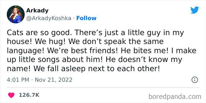 Animals > Humans @arkadykoshka