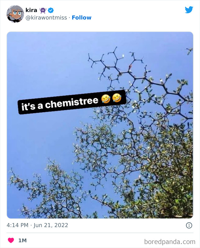 Tree branches resembling chemical structures with text saying "it's a chemistree," highlighting chemistry humor.