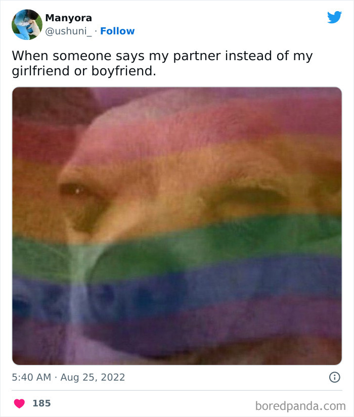 Pride Month Memes