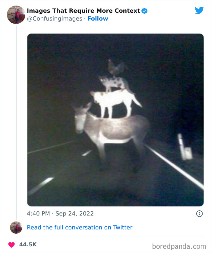 Funny-Confusing-Images-Need-More-Context