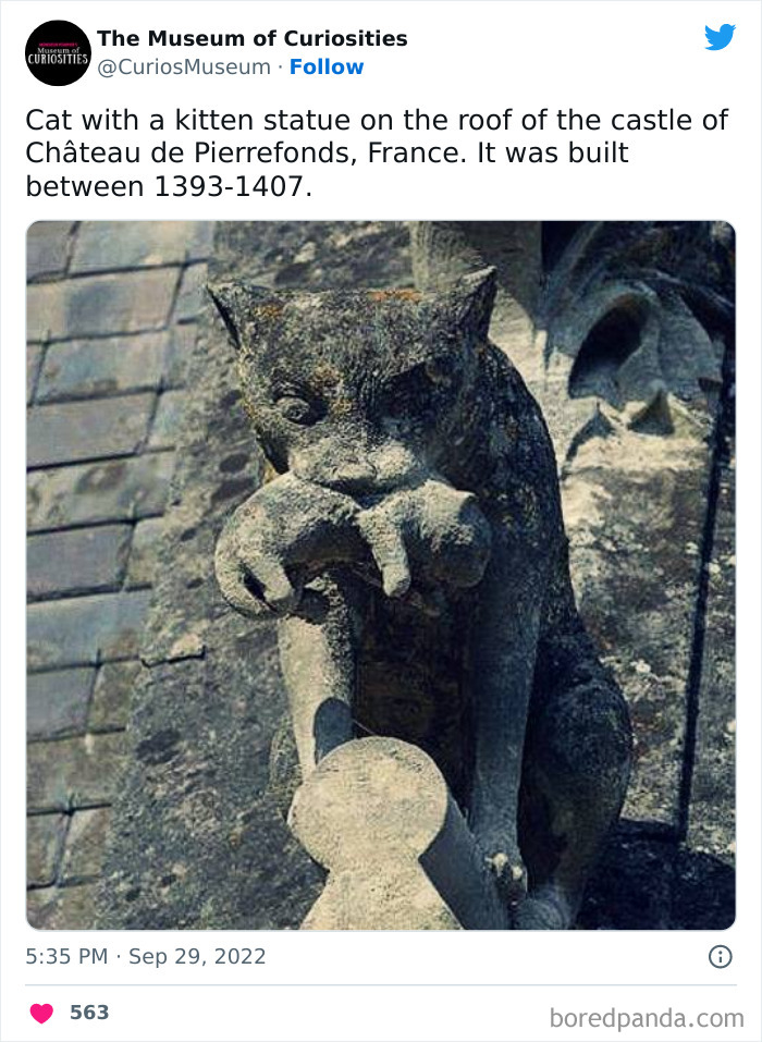 Interesting-Pics-The-Museum-Of-Curiosities