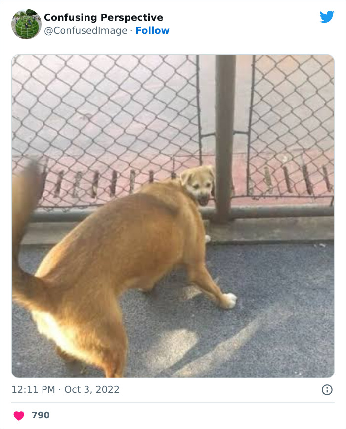 Optical-Illusion-Pics-Confusing-Perspective