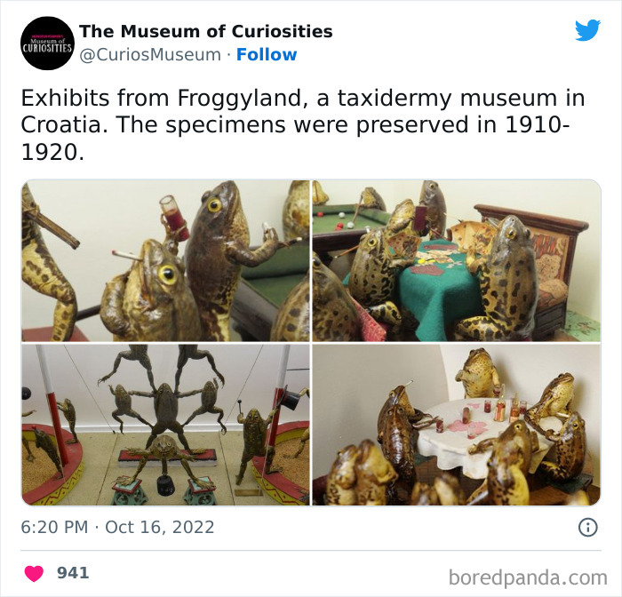 Interesting-Pics-The-Museum-Of-Curiosities