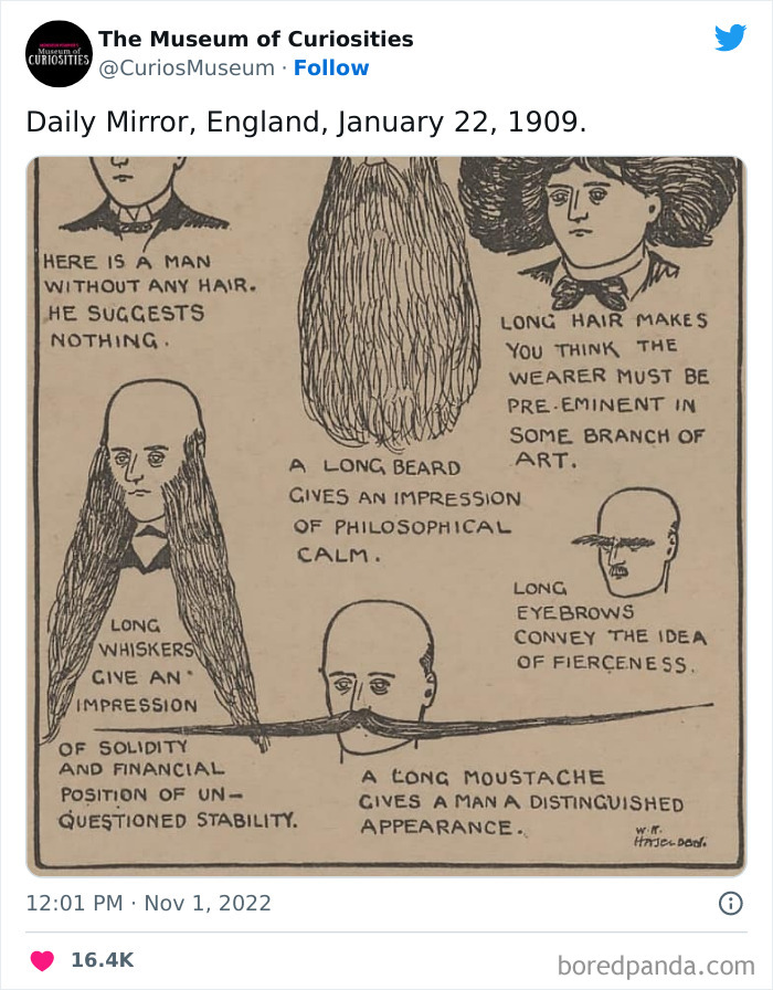 Interesting-Pics-The-Museum-Of-Curiosities