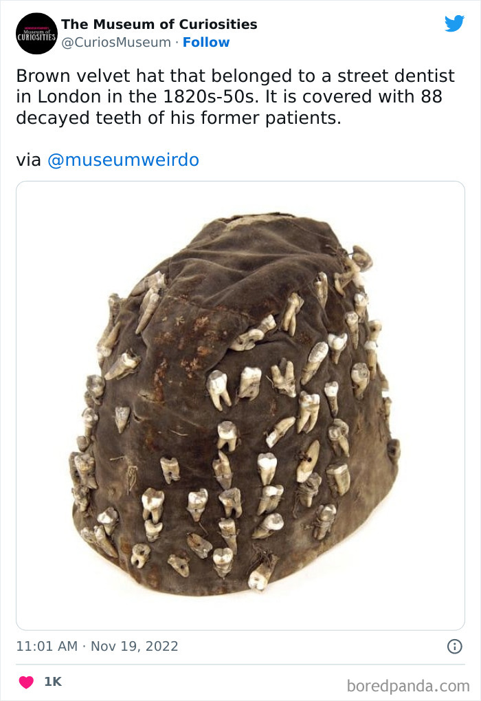 Interesting-Pics-The-Museum-Of-Curiosities