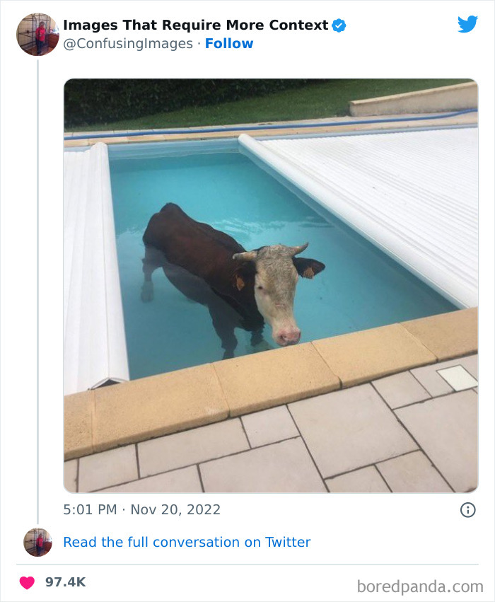 Funny-Confusing-Images-Need-More-Context