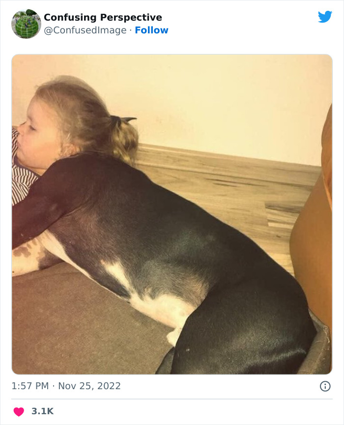 Optical-Illusion-Pics-Confusing-Perspective