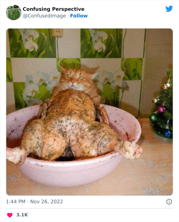 Optical-Illusion-Pics-Confusing-Perspective