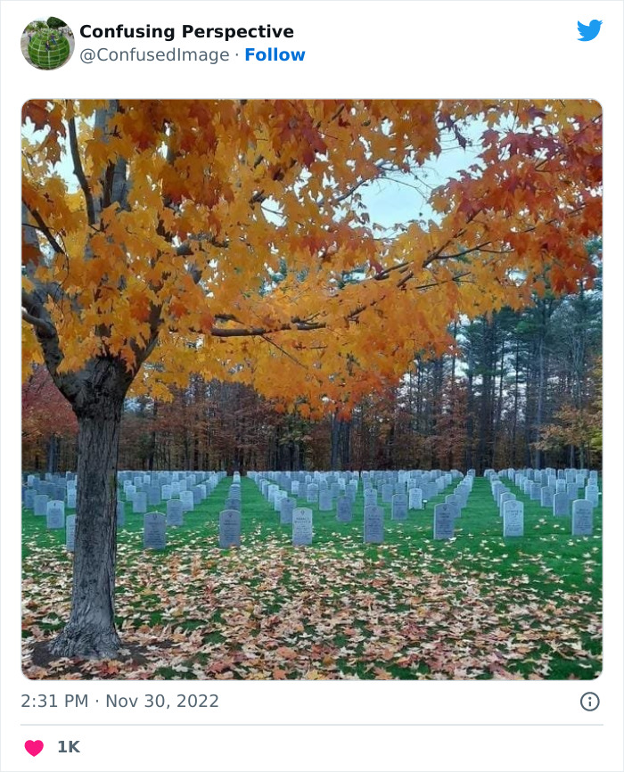 Optical-Illusion-Pics-Confusing-Perspective