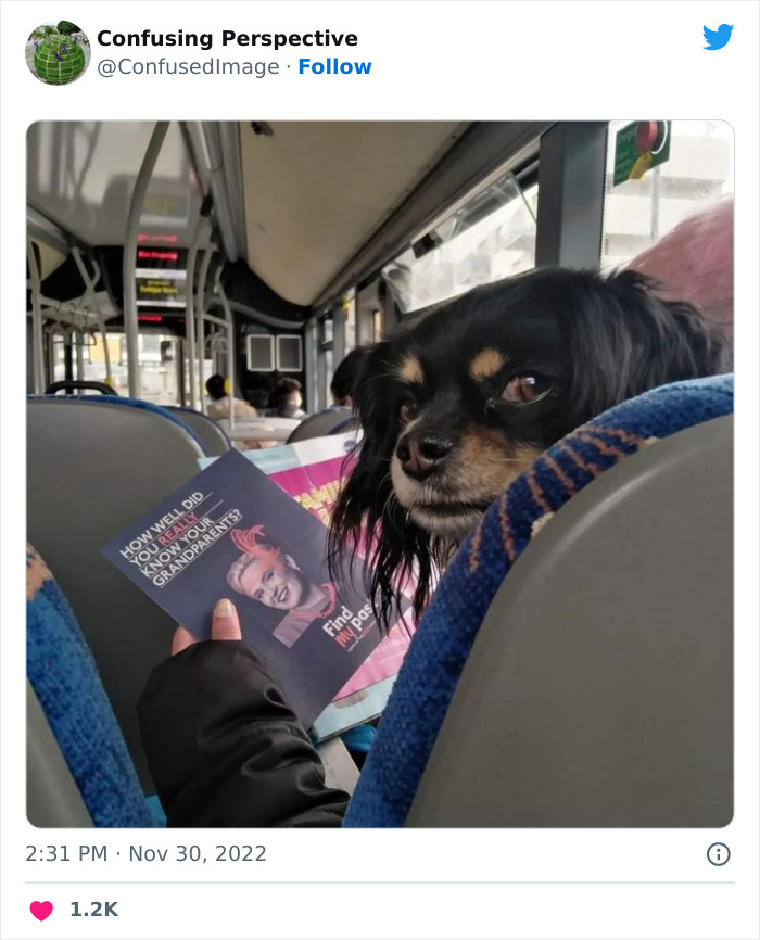 Optical-Illusion-Pics-Confusing-Perspective