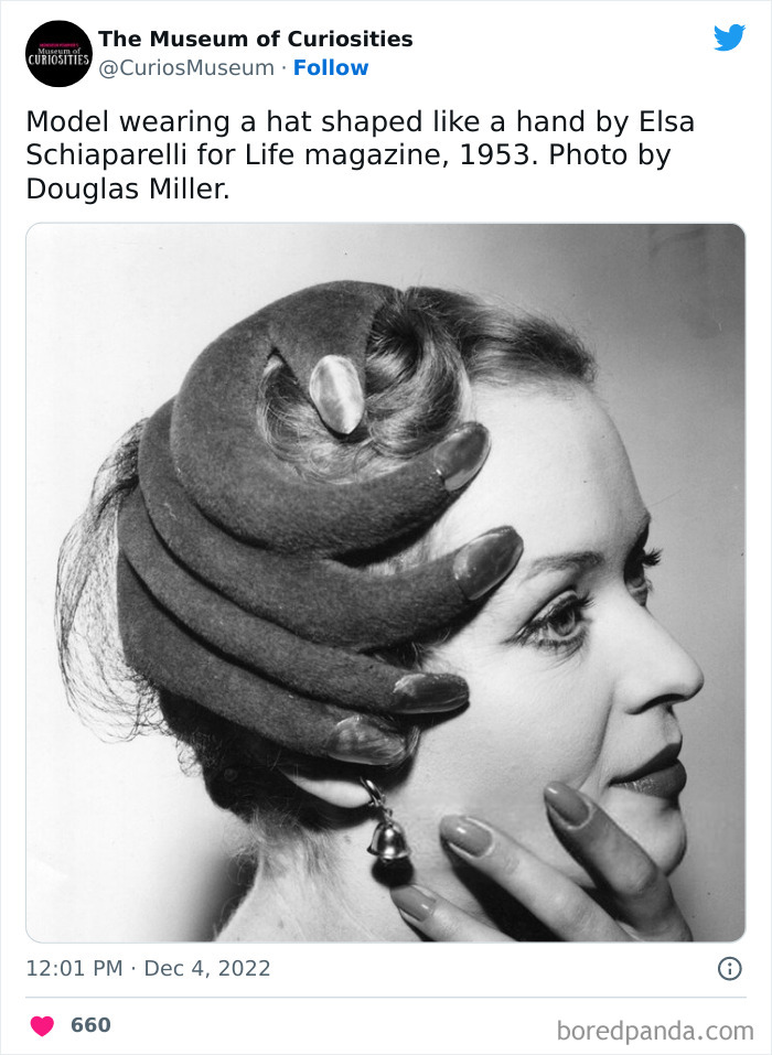 Interesting-Pics-The-Museum-Of-Curiosities