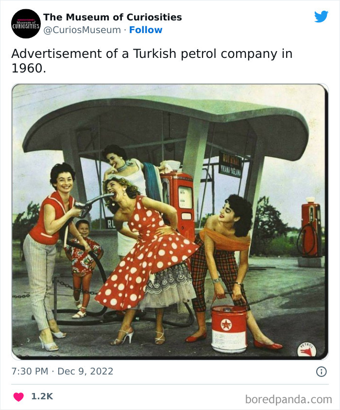 Interesting-Pics-The-Museum-Of-Curiosities