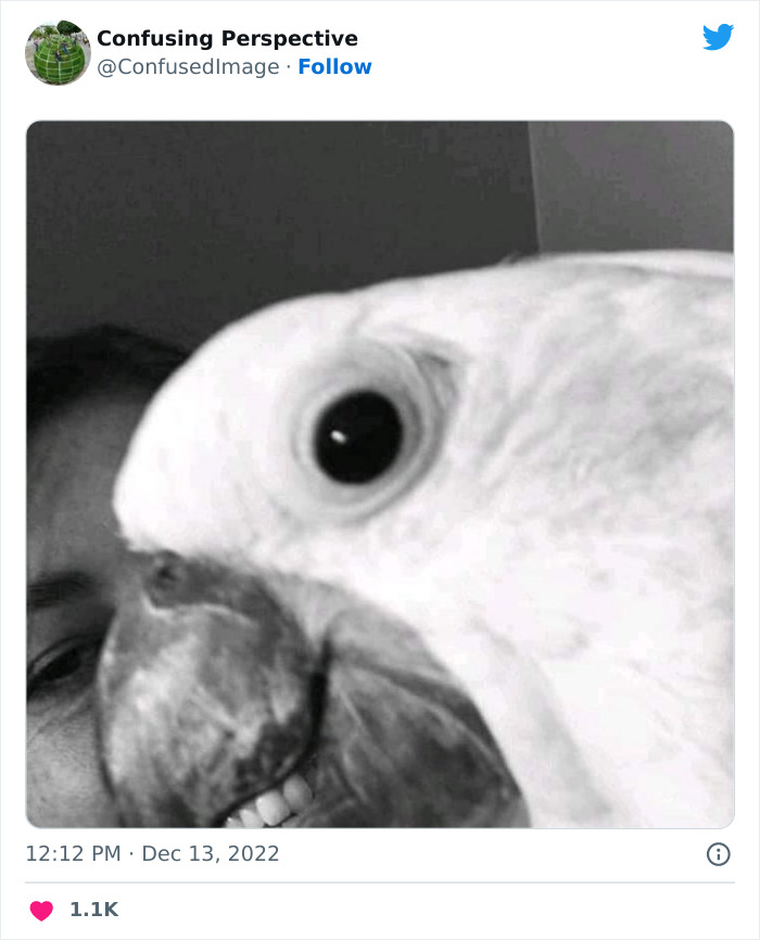 Optical-Illusion-Pics-Confusing-Perspective