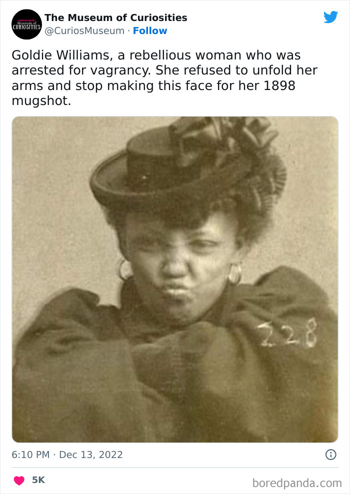 Interesting-Pics-The-Museum-Of-Curiosities