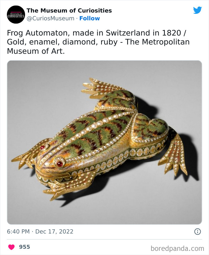 Interesting-Pics-The-Museum-Of-Curiosities