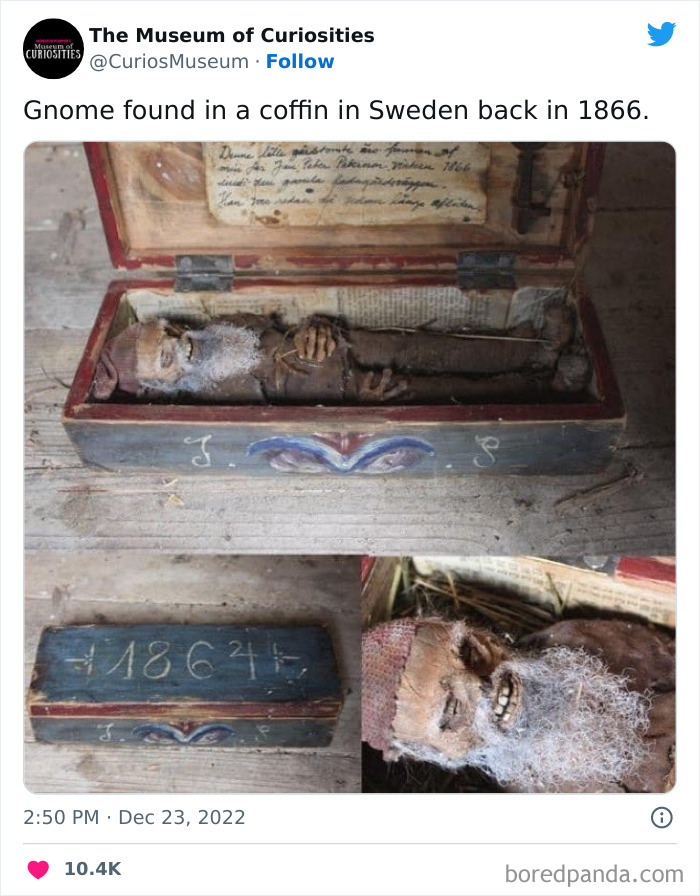 Interesting-Pics-The-Museum-Of-Curiosities