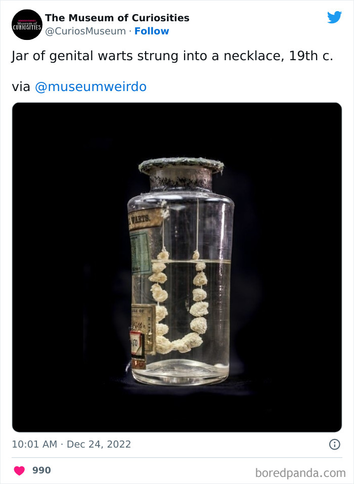 Interesting-Pics-The-Museum-Of-Curiosities