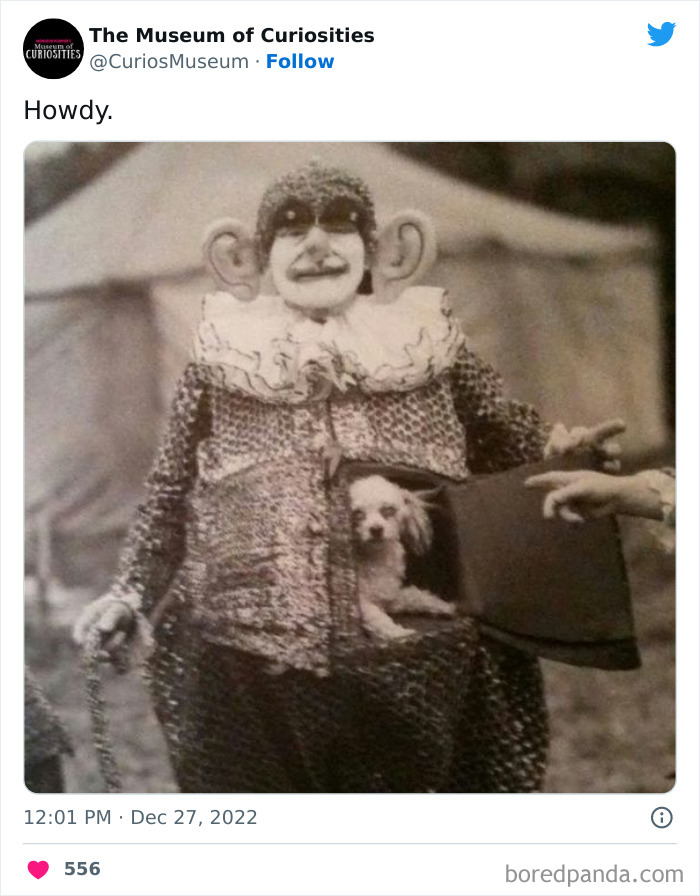 Interesting-Pics-The-Museum-Of-Curiosities