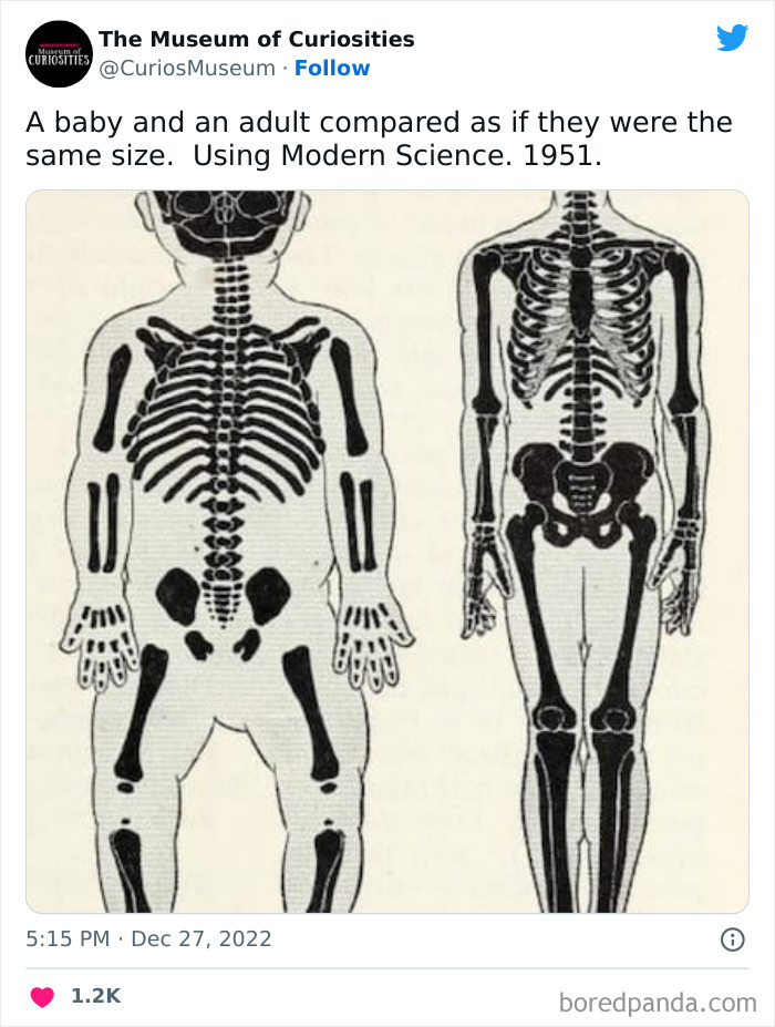 Interesting-Pics-The-Museum-Of-Curiosities