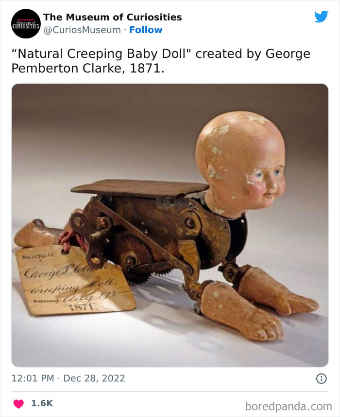 Interesting-Pics-The-Museum-Of-Curiosities