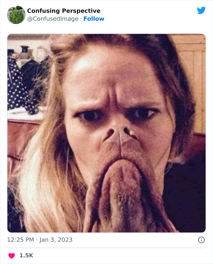 Optical-Illusion-Pics-Confusing-Perspective