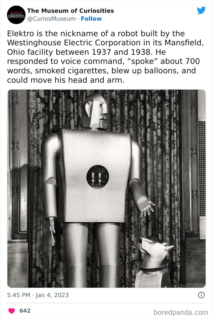 Interesting-Pics-The-Museum-Of-Curiosities