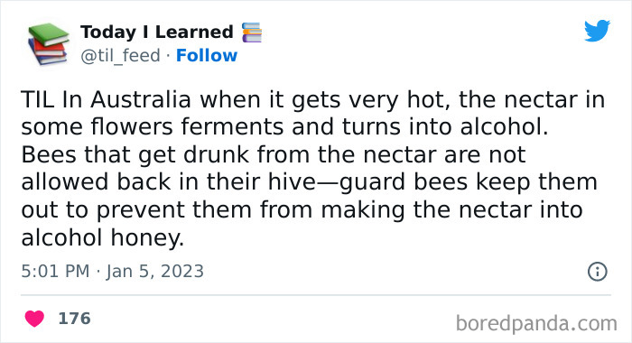 Today-I-Learned-Interesting-World-Facts