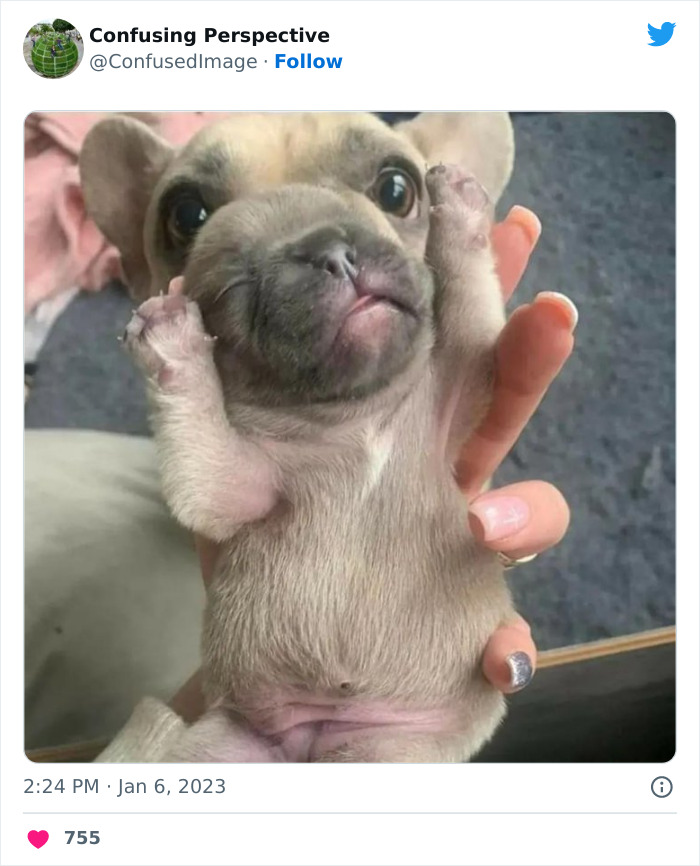 Optical-Illusion-Pics-Confusing-Perspective