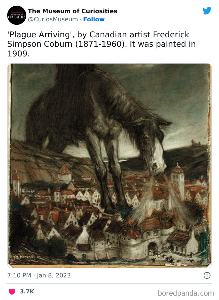 Interesting-Pics-The-Museum-Of-Curiosities