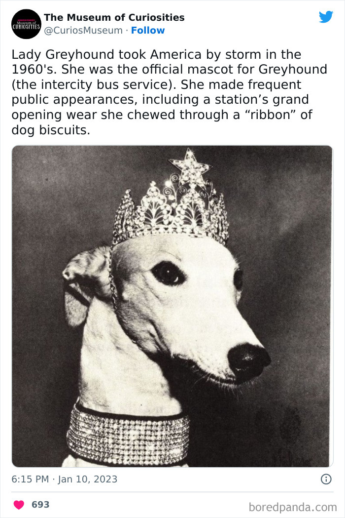 Interesting-Pics-The-Museum-Of-Curiosities