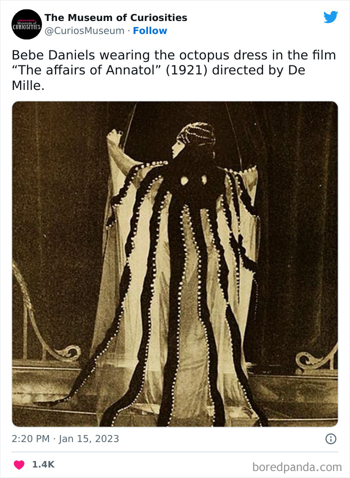 Interesting-Pics-The-Museum-Of-Curiosities