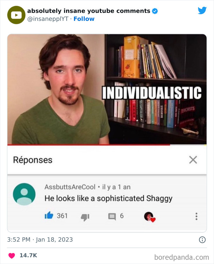 Absolutely-Insane-Youtube-Comments