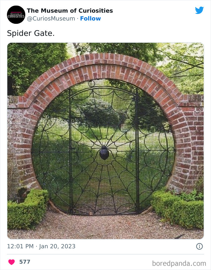 Interesting-Pics-The-Museum-Of-Curiosities